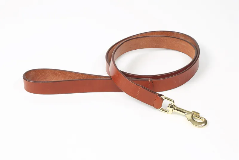 Digby and Fox Flat Leather Dog Lead in Tan Medium